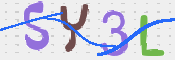 CAPTCHA 驗證圖片