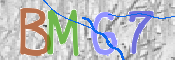 CAPTCHA 驗證圖片