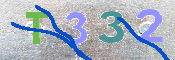 CAPTCHA 驗證圖片