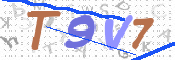 CAPTCHA 驗證圖片