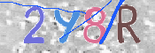 CAPTCHA 驗證圖片