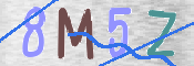 CAPTCHA 驗證圖片