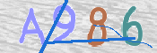 CAPTCHA 驗證圖片