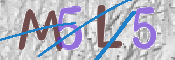 CAPTCHA 驗證圖片
