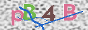 CAPTCHA 驗證圖片