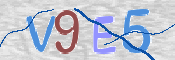 CAPTCHA 驗證圖片