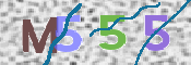 CAPTCHA 驗證圖片