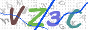 CAPTCHA 驗證圖片
