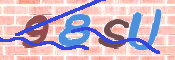 CAPTCHA 驗證圖片