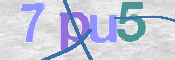 CAPTCHA 驗證圖片