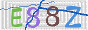 CAPTCHA 驗證圖片