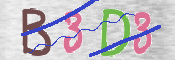 CAPTCHA 驗證圖片