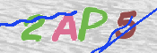 CAPTCHA 驗證圖片