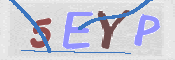 CAPTCHA 驗證圖片