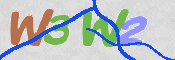 CAPTCHA 驗證圖片