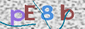 CAPTCHA 驗證圖片