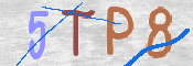 CAPTCHA 驗證圖片