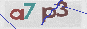 CAPTCHA 驗證圖片