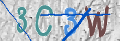 CAPTCHA 驗證圖片