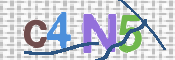 CAPTCHA 驗證圖片