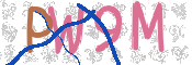 CAPTCHA 驗證圖片