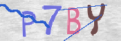 CAPTCHA 驗證圖片