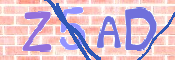CAPTCHA 驗證圖片