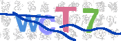 CAPTCHA 驗證圖片