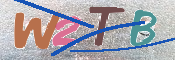 CAPTCHA 驗證圖片