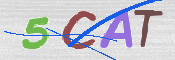 CAPTCHA 驗證圖片