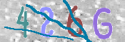 CAPTCHA 驗證圖片