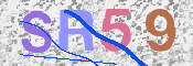 CAPTCHA 驗證圖片