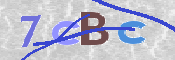 CAPTCHA 驗證圖片