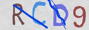 CAPTCHA 驗證圖片