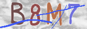 CAPTCHA 驗證圖片