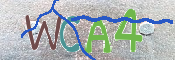 CAPTCHA 驗證圖片