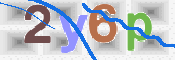 CAPTCHA 驗證圖片