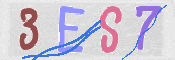 CAPTCHA 驗證圖片