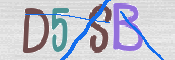 CAPTCHA 驗證圖片