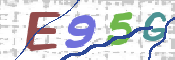 CAPTCHA 驗證圖片