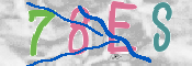 CAPTCHA 驗證圖片