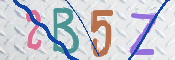 CAPTCHA 驗證圖片