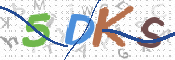 CAPTCHA 驗證圖片