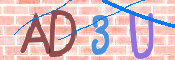 CAPTCHA 驗證圖片