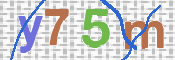 CAPTCHA 驗證圖片