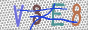 CAPTCHA 驗證圖片