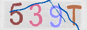 CAPTCHA 驗證圖片