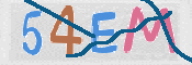 CAPTCHA 驗證圖片