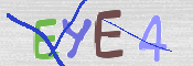 CAPTCHA 驗證圖片