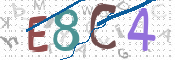 CAPTCHA 驗證圖片